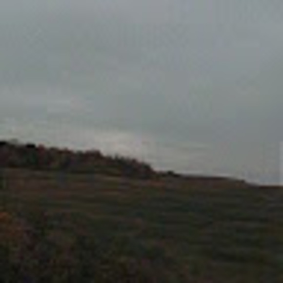 Meet your Posher, Sharlie - Picture 1 of 1